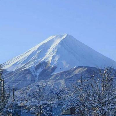 神战冰风谷游戏下载